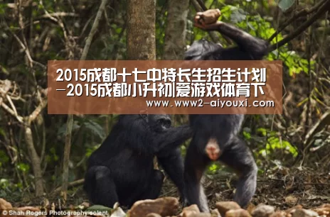爱游戏官网